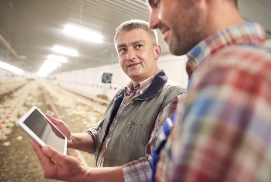 Integrado lança inédito MBA Global em Agronegócios que conecta Brasil, Europa e África
